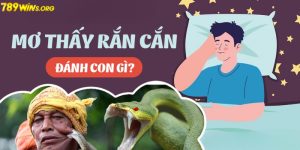 Mơ thấy rắn đánh gì?