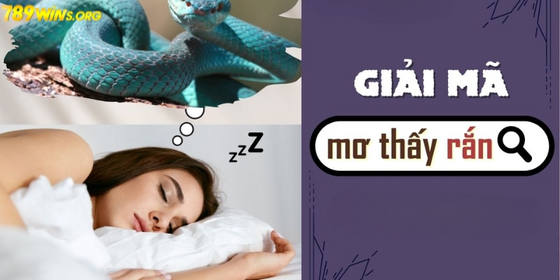 Giải mãi giấc mơ thấy rắn đánh gì?