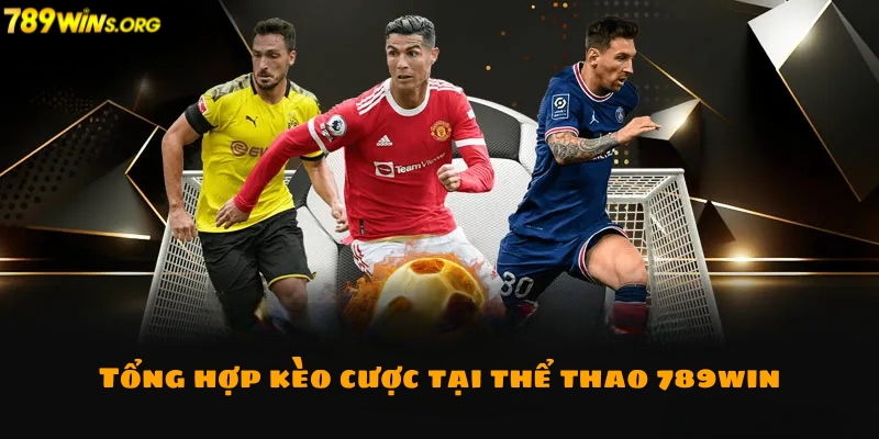 Tổng hợp các kèo cược phổ biến tại thể thao 789win